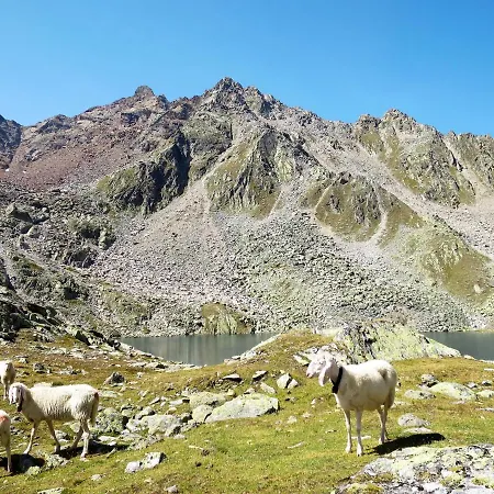 Anemone By Interhome Apartman Sölden