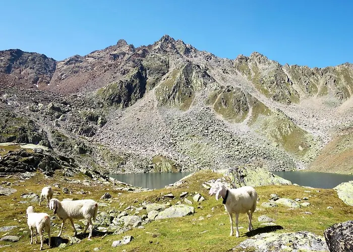 Anemone By Interhome Appartamento Sölden