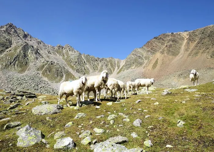 Anemone By Interhome * Зёльден